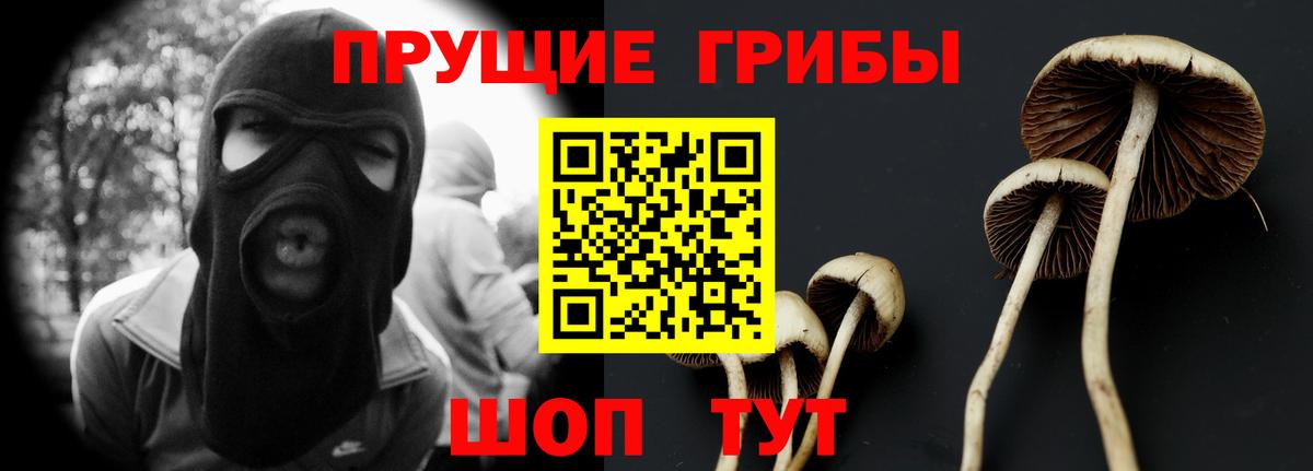 Псилоцибиновые грибы ЛСД  Псилоцибиновые грибы GOLDEN TEACHER  наркотики  Новомосковск  Вход с VPN 